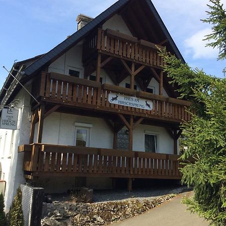 Pension Haus Am Hirschsprung Willingen  Eksteriør bilde