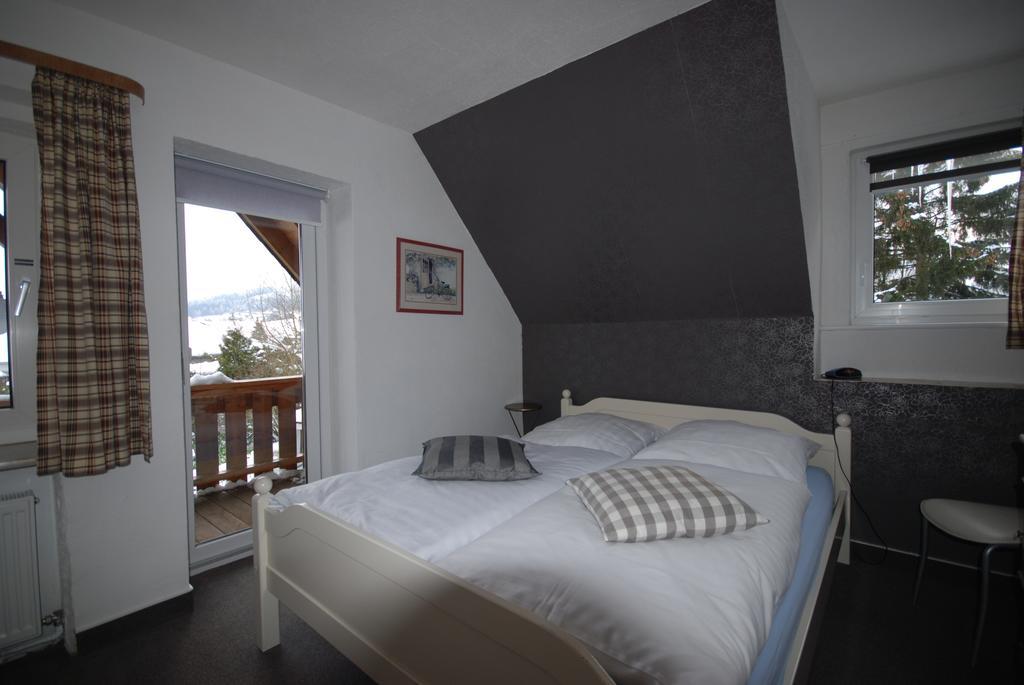 Pension Haus Am Hirschsprung Willingen  Eksteriør bilde